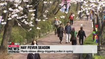 Spring allergies lasting longer this year due to warmer temperatures