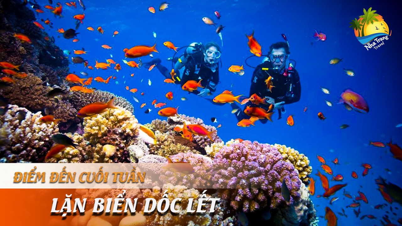 [ĐIỂM ĐẾN CUỐI TUẦN] -  Tour chinh phục đại dương độc đáo mới lạ | NHA TRANG TRAVEL