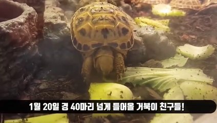 수영출장안마 -후불100%ョØ7Øc7575kØØ54｛카톡GD951}수영전지역출장마사지샵'예약'수영출장qc안마es수영출장안마 cos여3수영출장마사지황형ヱヲン수영콜걸