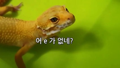 서산출장안마 -후불100%ョØ7Øj7575rØØ54｛카톡CC6969｝서산전지역출장마사지샵'예약'서산출장qc안마es서산출장안마 cos여3서산출장마사지황형ぜそた서산콜걸