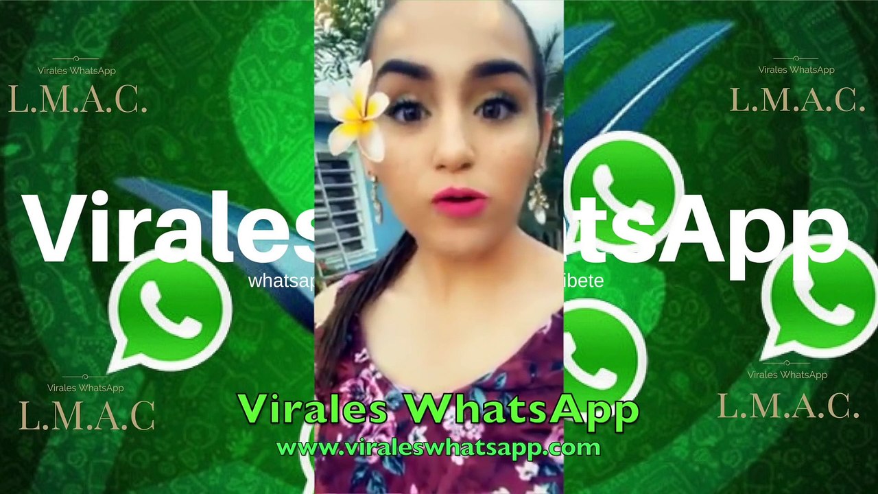 COMPILADO VIDEO VIRALES DE WHATSAPP