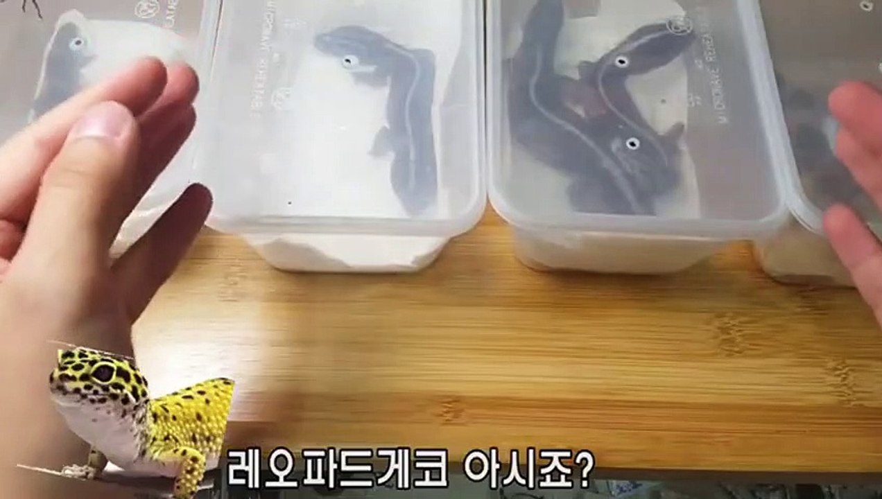 익산출장안마 -후불100%ョØ7Øg7733w9649｛카톡XPF889｝익산전지역출장마사지샵'예약'익산출장qc안마es익산출장안마 cos여3익산출장마사지황형ЛМН익산콜걸