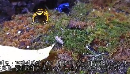 서산출장안마 -후불100%ョØ7Øp7333w9649｛카톡OP1541｝서산전지역출장마사지샵'예약'서산출장qc안마es서산출장안마 cos여3서산출장마사지황형⊙♤℉서산콜걸