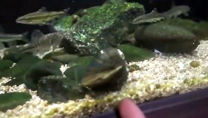 제주출장안마 -후불100%ョØ1Øq2671c8135｛카톡CT369｝제주전지역출장마사지샵'예약'제주출장qc안마es제주출장안마 cos여3제주출장마사지황형ъыь제주콜걸