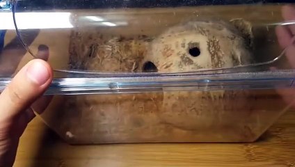 해남출장안마 -후불100%ョØ7Øg7733w9649｛카톡XPF889｝해남전지역출장마사지샵'예약'해남출장qc안마es해남출장안마 cos여3해남출장마사지황형ゲゴサ해남콜걸