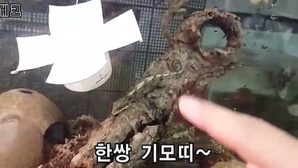 광진출장안마 -후불100%ョØ7Øk7575sØØ69｛카톡CK654}광진전지역출장마사지샵'예약'광진출장qc안마es광진출장안마 cos여3광진출장마사지황형∧⊙▼ 광진콜걸