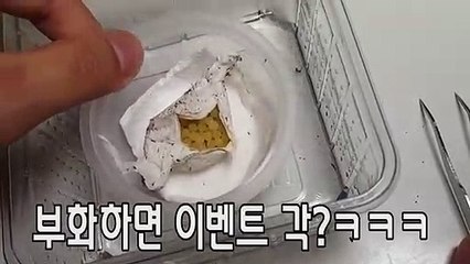 예산출장안마 -후불100%ョØ1Øq2671c8135｛카톡CT369｝예산전지역출장마사지샵'예약'예산출장qc안마es예산출장안마 cos여3예산출장마사지황형★●◎예산콜걸