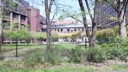 E-Scooter: Das nächste große Ding im Stadtverkehr?