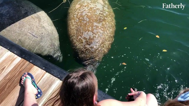 Go Rving Why We Loved Our RV Trip