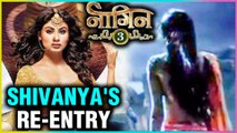 Mouni Roy RE-ENTRY In Naagin 3 Finale Episode | Surbhi Jyoti, Pearl V Puri