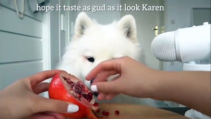 해외토토 ⊙ ｎａｖｅ８８，ｃｏｍ ∽ 코드；ｓｋｃ ⊙ 해외토토