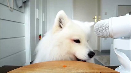 네임드사다리 ⊙ ｎａｖｅ８８，ｃｏｍ ∽ 코드；ｓｋｃ ⊙ 네임드사다리