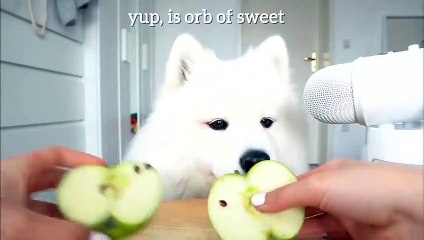 사설사이트추천 ⊙ ｎａｖｅ８８，ｃｏｍ ∽ 코드；ｓｋｃ ⊙ 사설사이트추천