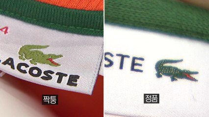 허술한 오픈마켓...짝퉁 옷에 8만 명 당했다 / YTN