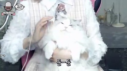 (가평출장마사지) ##N 100%후불-【 Ø1Ø↔6648↔8529카톡SBS88】가평출장안마, 가평출장안마후기, 가평출장안마'만족τ가평출장안마'만족도1위 20대여대생의 최상위 서비스