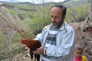 Korkudan Horoz Bile Dile Geldi