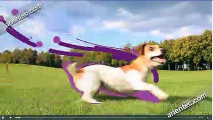 Best Mobile App Developer in Coimbatore