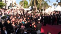 Alain Delon récompensé à Cannes : Pourquoi il a 