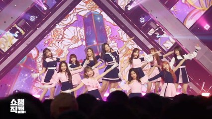 [Show Champion close up 141] 아이즈원 - 비올레타(IZ*ONE - Violeta)