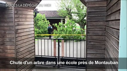 Chute d'un arbre dans une école: un enfant amputé d'une jambe