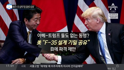 美 “F-35 설계기밀 일본과 공유”