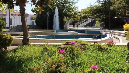 Νέα δράση από το Δίκτυο Νέων Βοιωτίας
