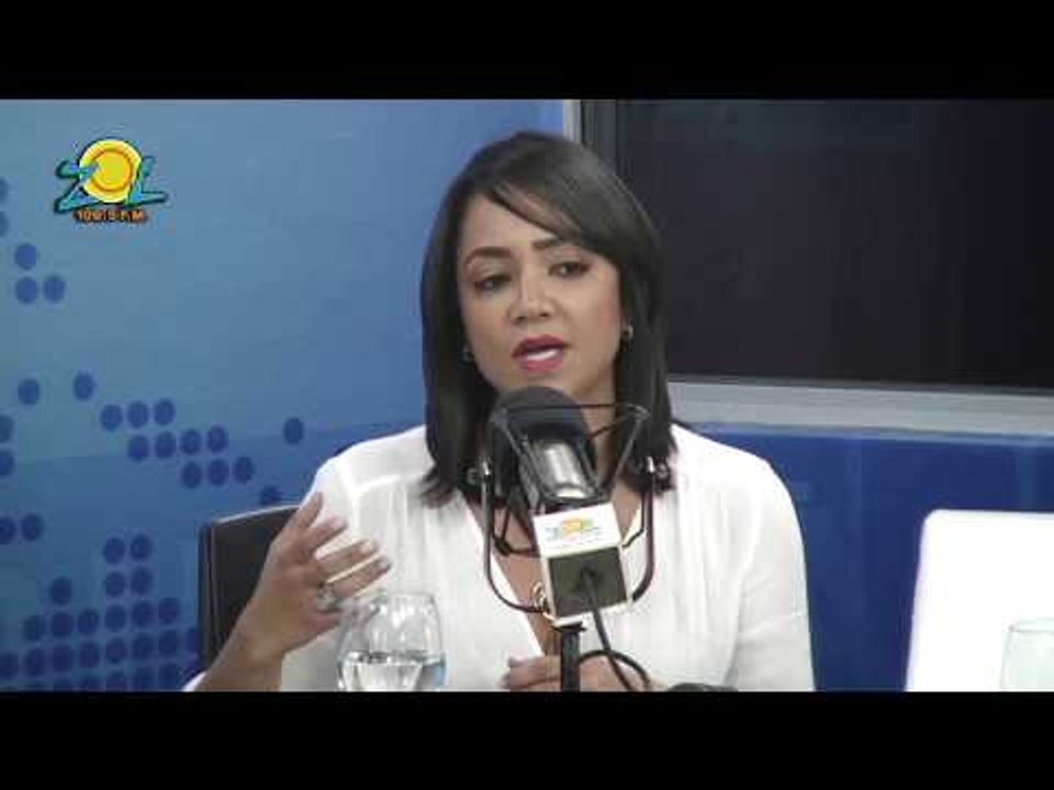 Faride Raful dice PRM conocerá la resolución que sometieron para que el Congreso Nacional