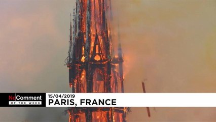 Los mejores vídeos largos "No Comment" de la semana.