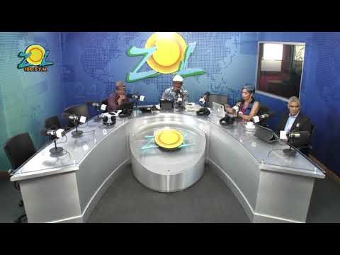 Marilyn Lois Unidad de Protección Animal habla de animales que deambulan por calles y carreteras