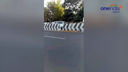 நடுரோட்டில் படமெடுத்து ஆடிய 7 அடி நீள பாம்பு-வீடியோ