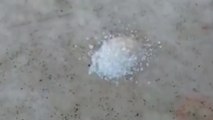 Un homme nous montre comment faire un prank à des fourmis