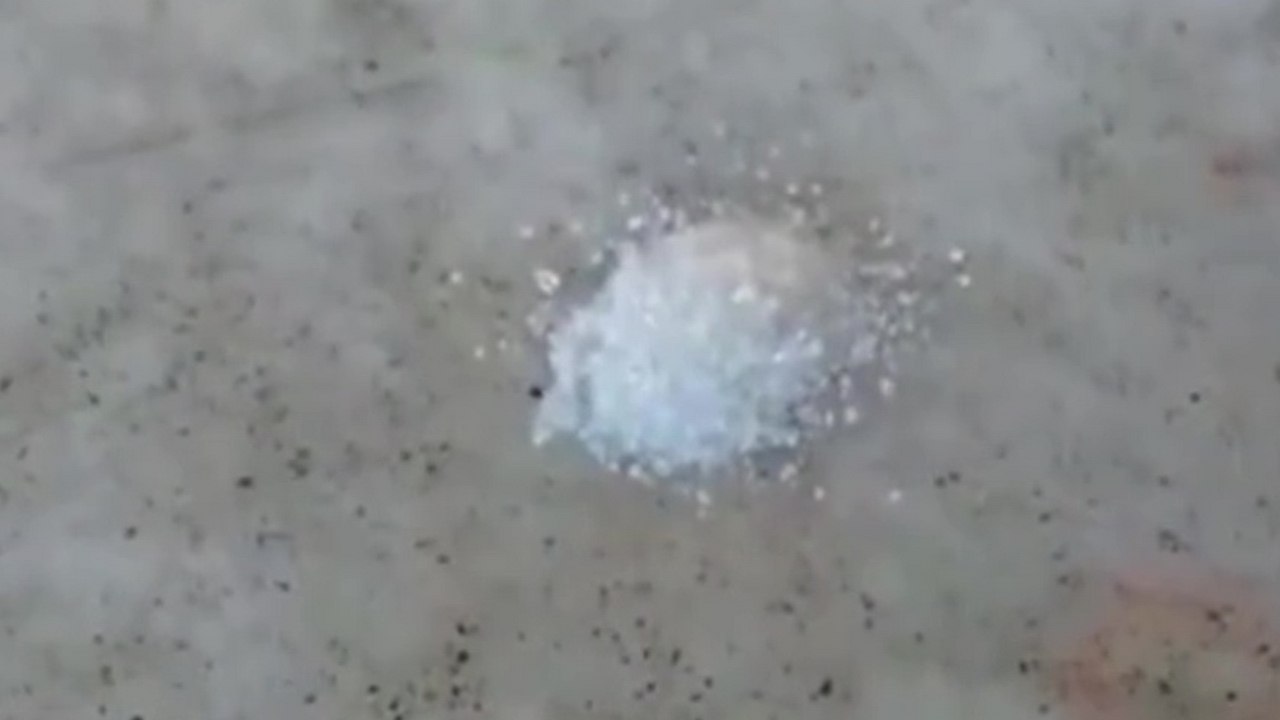 Un homme nous montre comment faire un prank à des fourmis