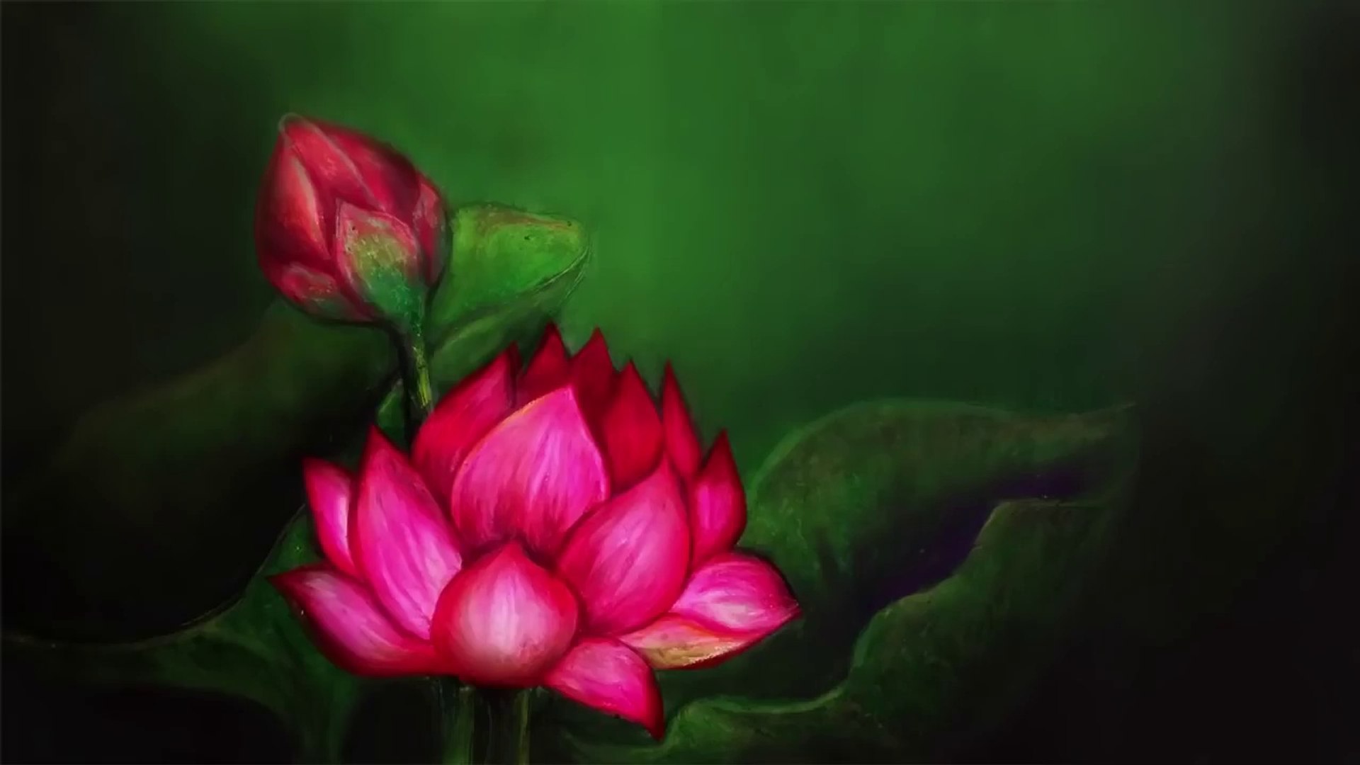 easy oil pastel drawings lotus flower/ how to draw flowers for beginners  step by step - video Dailymotion