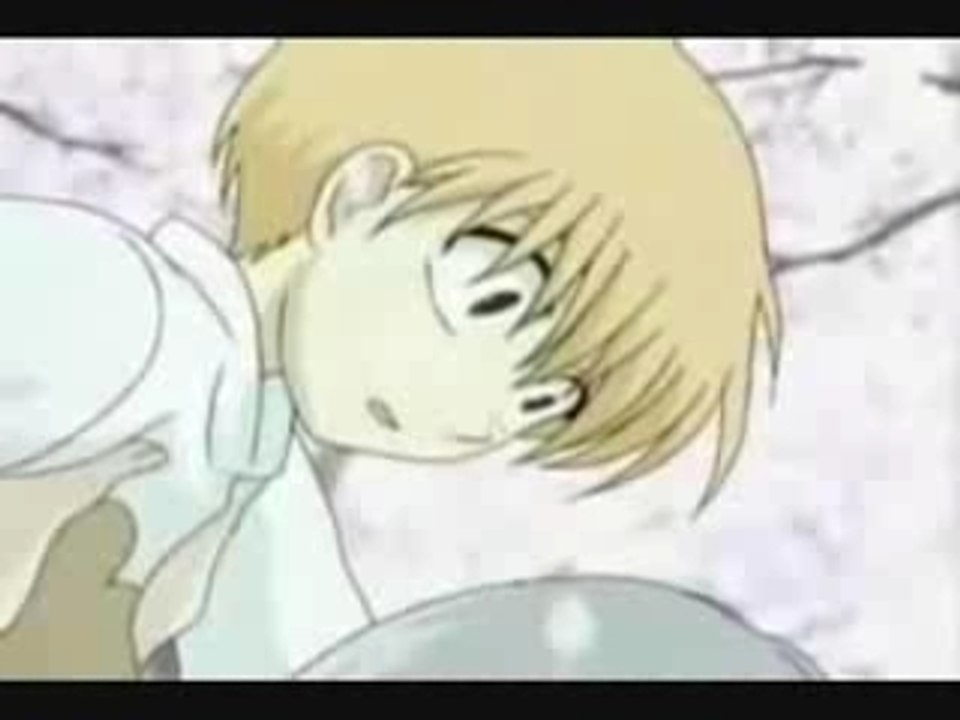 Amv fruits basket