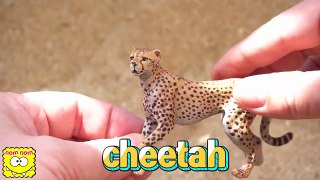 Les Animaux de Zoo pour les Enfants: Apprendre le Nom des Sons avec Schleich Safari Jouet pour les Enfants | NomNomToys