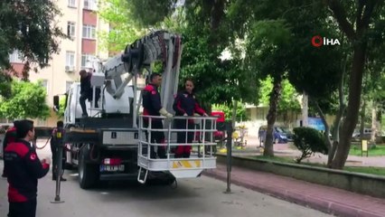 Ağaçta mahsur kalan kediyi itfaiye kurtardı