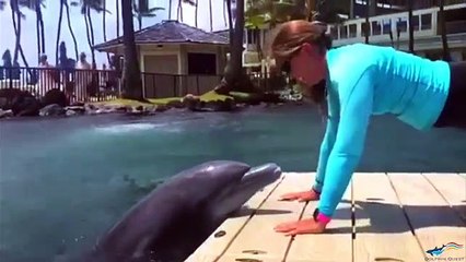 Ce dauphin est un excellent coach sportif. Adorable !