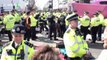 Police remove Extinction Rebellion protesters from pink boat on London's Oxford Street