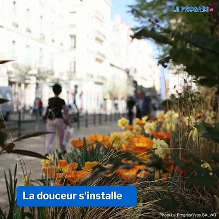 Le printemps est là, les allergies aussi