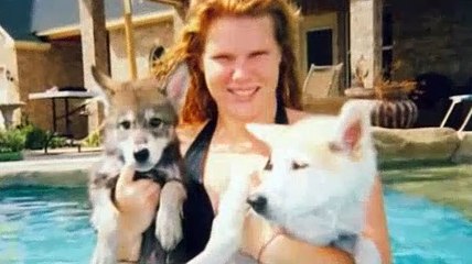Dog Whisperer S07E04 Wolf-Dogs - Out of the Wild