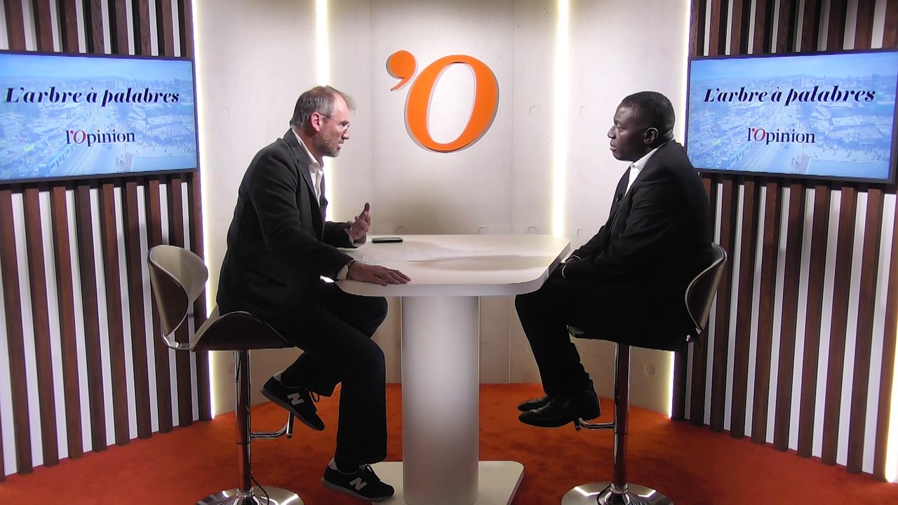 Affaire Ghosn: «En cas de saisie, le groupe de travail de l'Onu se prononcera sur la détention arbitraire du patron de Nissan»