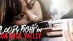 Bloody Fight In Iron-Rock Valley