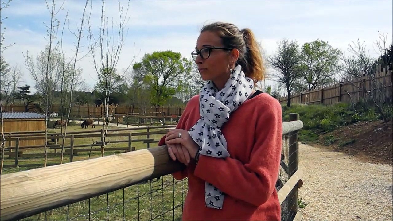 Un nouveau parc animalier a ouvert ses portes à Vagnas, en Ardèche