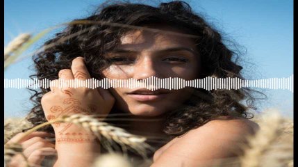 Minute Papillon! Flash soir - 19 avril 2019