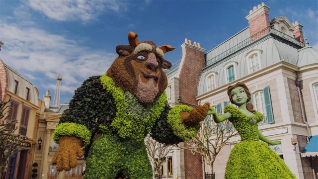 A 'Beauty and the Beast' Themed Bar Is Opening in Disney World