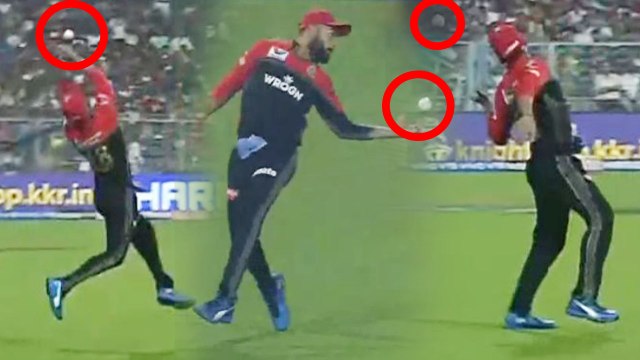 IPL 2019 KKR vs RCB: Virat Kohli takes a brilliant catch to remove Shubhman Gill | वनइंडिया हिंदी