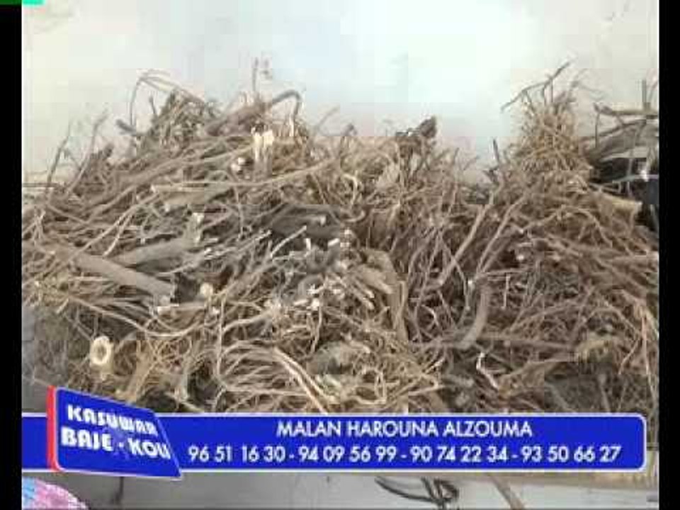 MALAM ALZOUMA Tradi Praticien 010