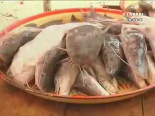 JT LABARI 20 AOUT 2017