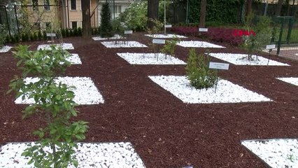 Bursa Binlerce Yıllık Geleneksel Tedavi Yöntemleri Bu Merkezde Uygulanıyor