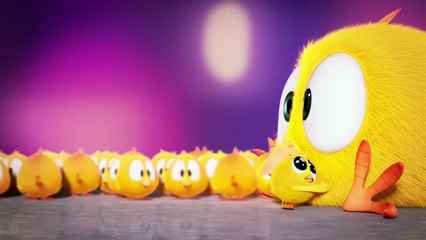 NEW! Where's Chicky? The Shuffleboard | Funny Cartoons for Kids | Moonbug TV